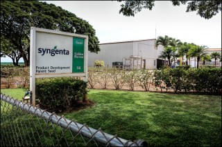 Cost Rises for Kauai Lawsuit Defending Disclosure Law on GMOs, Pesticides