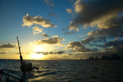 State Opens Waikiki, Diamond Head for Fishing
