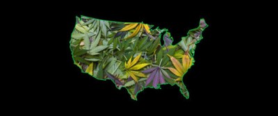 Hawaii Among States ‘Most Likely’ to Legalize Marijuana Next
