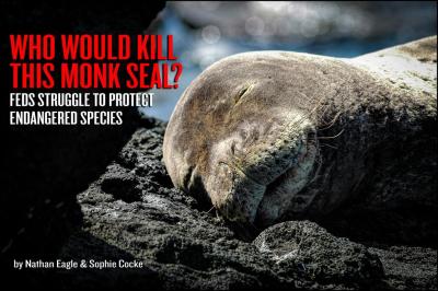 Who Would Kill This Monk Seal?