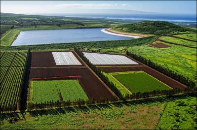 Hawaii House Panel to Take Up Pesticide Buffer Zones