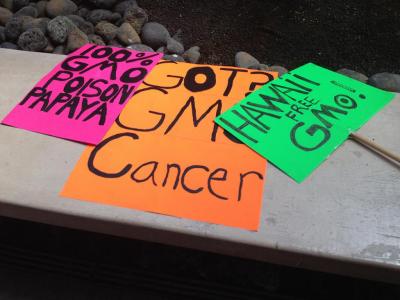 Maui Residents Want to Let Voters Decide on GMO Ban
