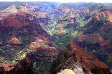 Photo of a deep canyon with red soil and green vegetation
