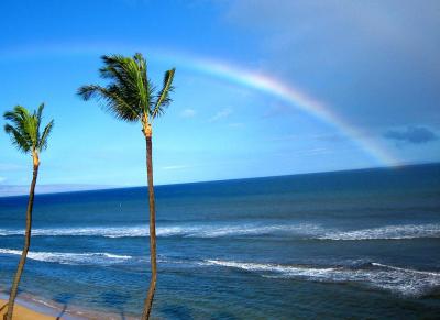 Living Hawaii: The Pipe Dream Of Teaching In Paradise Goes Global