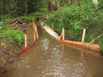 Hawaii Only State Not Regulating Pesticides Under Clean Water Act