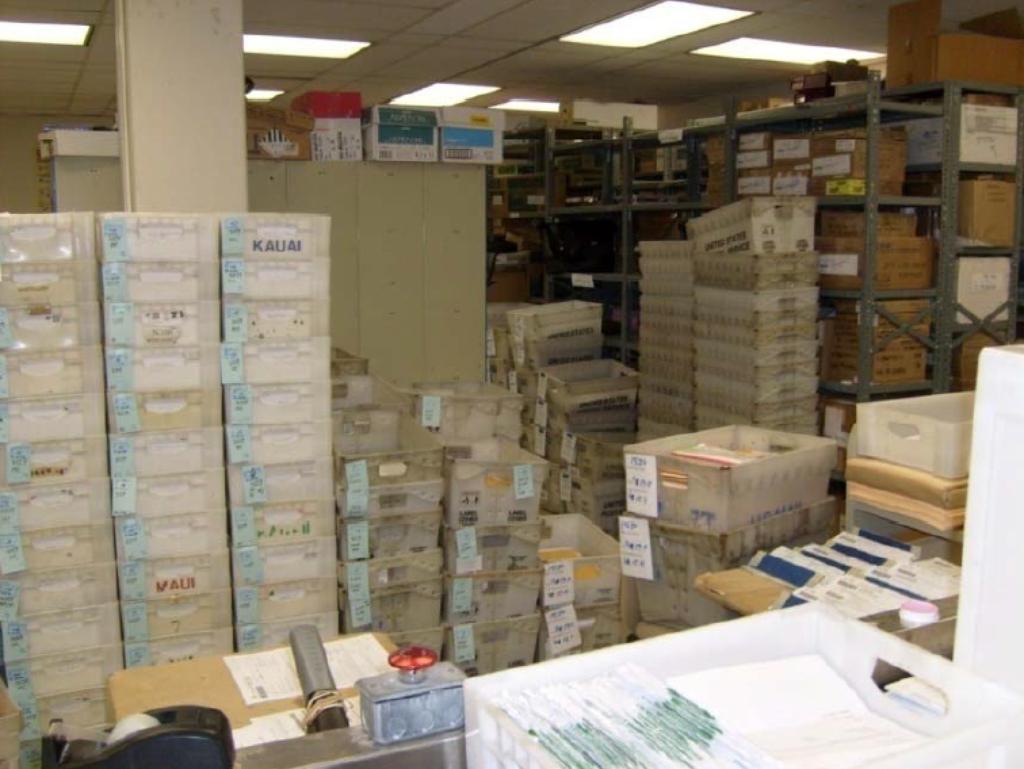 The Tax Department's receiving and sorting section during tax season. The department handles 2.5 million returns annually.