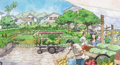Living Hawaii: So You Say You Want To End The Housing Crisis?