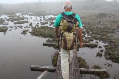 Saving Hawaii’s Rarest Orchid