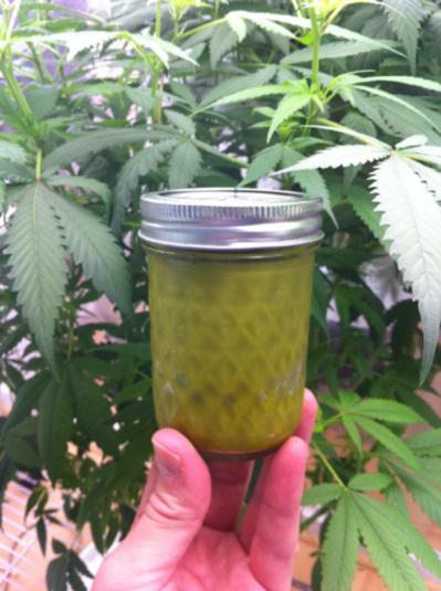 Barriers to Medical Cannabis Research in Hawaii