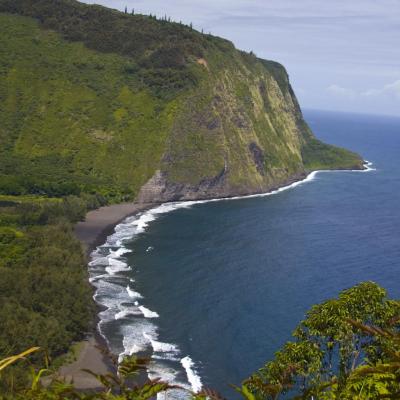 GMO Appeal Narrowly Passes Hawaii County Council