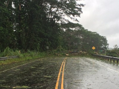 Iselle Pummels Big Island, Toppling Trees, Power Lines