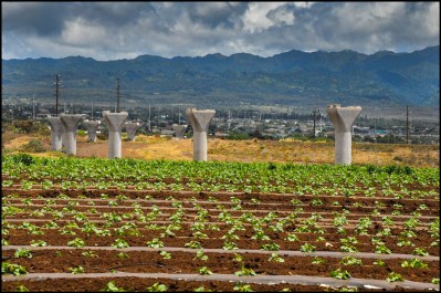 DOE Tells Schools To Reject Federal Funding For Local Food That It Helped Apply For