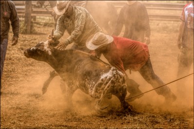 Weekend Paniolos: The Cowboy Life Is Disappearing in Hawaii