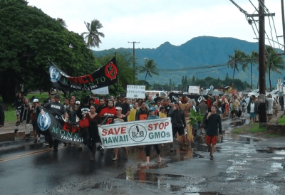 People in Hawaii Are Part of a Global Fight Against GMOs and Pesticides