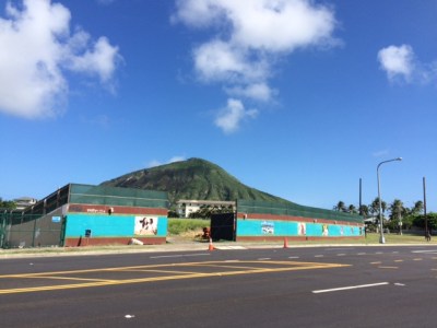Neighborhood Boards, Developers and Democracy