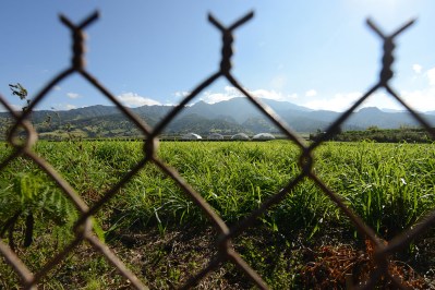 Will Hawaii Lawmakers Address Concerns About Pesticides?