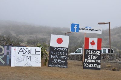 Hashtag Heard ‘Round the World: Social Media Fuels TMT Protests