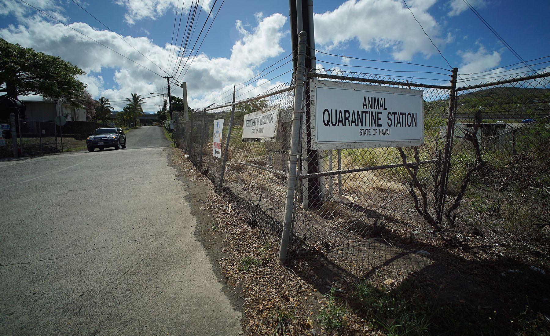 Animal Quarantine sign.  quarantine area is up the road about 1/2 miles.15 may 2015. photograph Cory Lum/Civil Beat