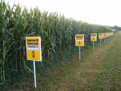 A Challenge to Anti-GMO Activists: Let the Science Speak