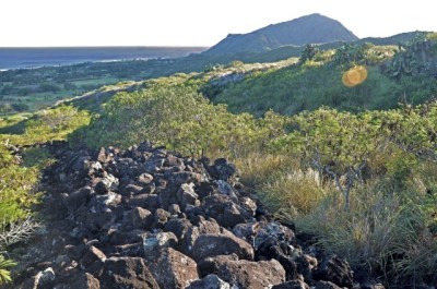 Youth Involvement Critical In Saving Ka Iwi Coast