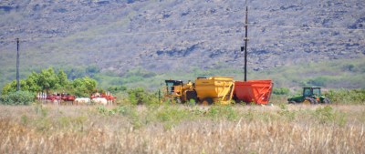 EPA May Ban Pesticide That’s Frequently Used in Hawaii