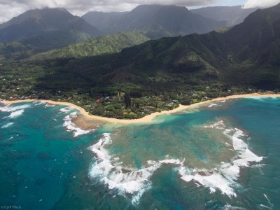New Study Shows The Big Kauai Flood Took A Toll On Fish And Coral After All