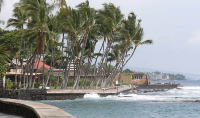 Paradise Is Going Underwater. What Can We do?