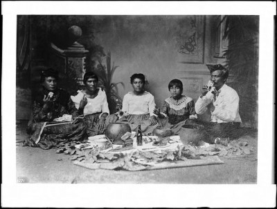 Law Recognizes Native Hawaiians as Indigenous People With Special Rights