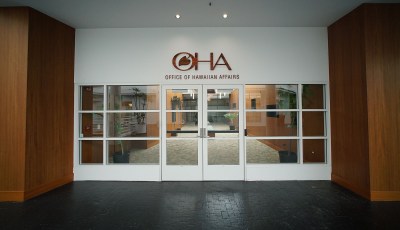 Two OHA Seats Will Head To A Nov. 8 Runoff