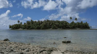 New Study Of Marshall Islands Fish Highlights Peril Of Using Oceans As Dumping Grounds