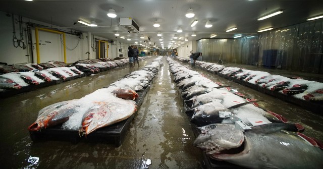 Tuna is laid out for fish buyers at the Honolulu fish auction. Ahi is one of the foods that tops the list of food-poisoning outbreaks in Hawaii.
