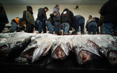 What Quota? Hawaii Longliners Are Fishing For Ahi Again