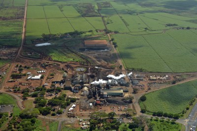 End Of Hawaii’s Sugar Industry Offers Sweet New Opportunities
