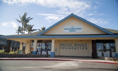 Not So Public: Hey DLNR, We’re Still Waiting For That Info On Commercial Tours