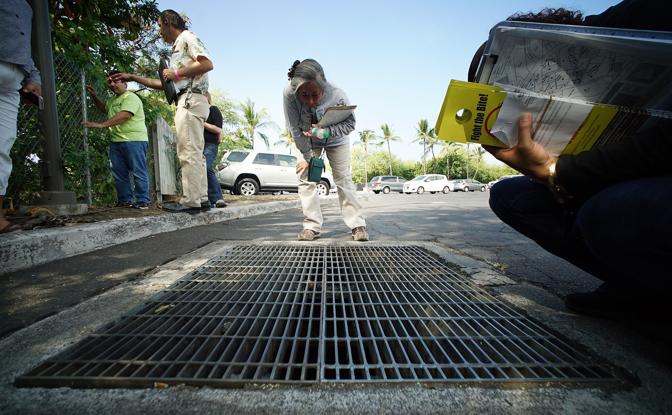 Vector inspector Eileen Passos inspects a drain located around the perimeter of the parking lot at the King Kamehameha Hotel. Kailua Kona, Hawaii.