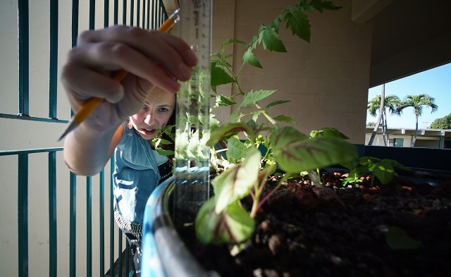 Leary assists her students with tomato plant measurements in their hydronponics setup.