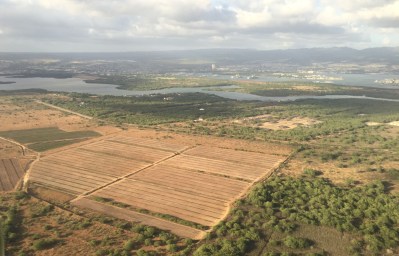 Major Food Crisis Coming For Hawaii By Mid-Century