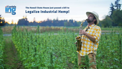 Industrial Hemp Bill Clears House