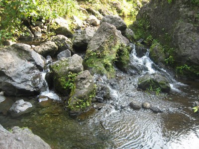 Water Bill Would Shortchange Farmers, Public Watershed Lands
