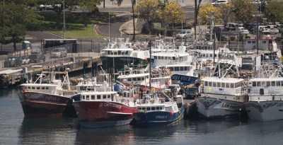 Blown Deadlines Weaken Hawaii’s Voice On Federal Fishery Council