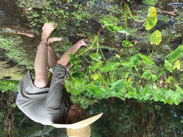 Nicole Hori, nuclear engineer and avid civic hacker, works in the Kanewai taro fields before a brainstorming session.