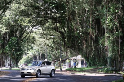 No Time Like The Present To Revitalize Hilo