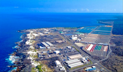 Big Island Aquaculture Gets Boost With Big Grant