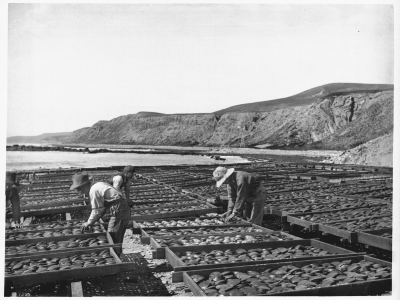 A Cautionary Tale For Stewards Of The Ocean