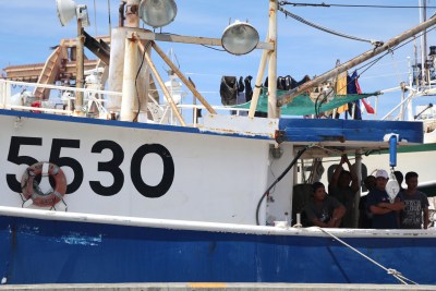 Congressmen Seek Investigation Of Hawaii Fishing Practices