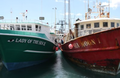Wespac: Fisheries Management Council Needs To Be Fully Investigated