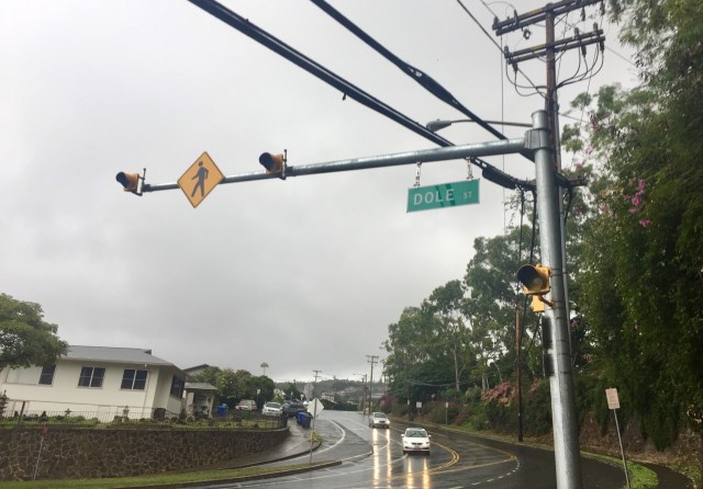dole st sign