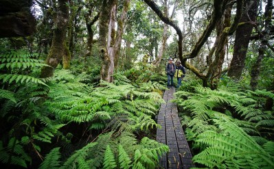 A Better Way To Meet Hawaii’s Needs: Invest In Nature