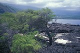 Will Popular Big Island Trail Someday Get Toilets?