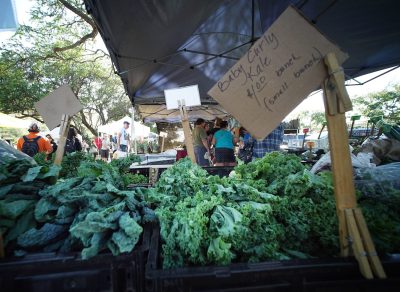 Why People Become Vegans: The Science Of A Meatless Existence